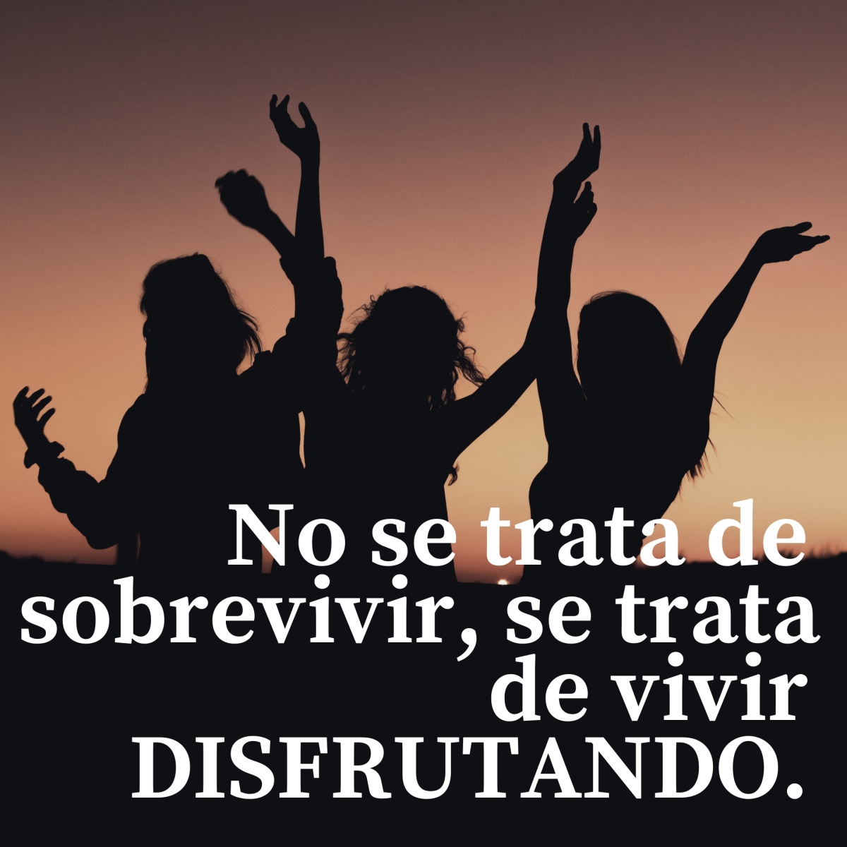 VIVE